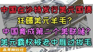 薅美国羊毛！羊毛中国在沙特发行美元主权国债？金融战中国出奇招！中国利用两国美元储备成为影子美联储，美元霸权竟然被中国雁过拔毛