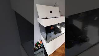 my review of the ND Aquatics 6x2x2 aquarium, order/delivery/build/review