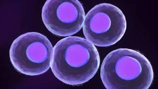 Asbestos Exposure and Molecular Mechanism Animation