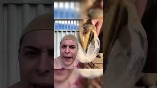 #shorts #youtubeshorts #trending #funny #viralvideo #youtube #fyp