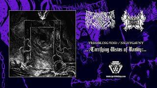 Trembling Void / Nightgaunt - Terrifying Vistas of Reality (Full Album)