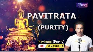 Pavitrata (Purity) l Video Song l Sambuddha l Pawa l Greatest Buddha Music l Musical Meditation