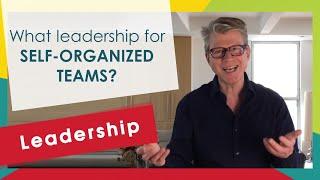 What leadership for self-organized teams?