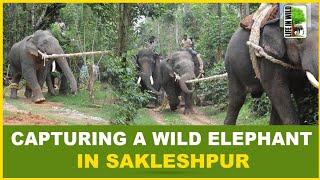 Capturing a Wild Elephant in Sakleshpur | ಕಾಡಾನೆ ಕಾರ್ಯಾಚರಣೆ ಹೇಗಿದೆ ನೋಡಿ | Hassan