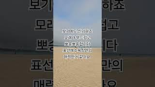 #여자들만의여행그리기 #여행 #풍경그림 #토토 #travel #해외여행 #바다 #제주올레길 #국내여행 #제주여행 #자유여행