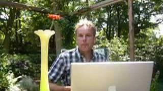 Biophotons: a critical appraisal by Visionmed