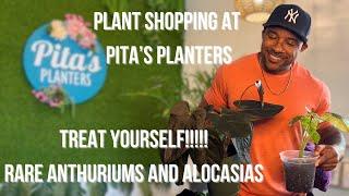 Plant Shopping At Pita’s Planters!!! Amazing Selection of Houseplants!