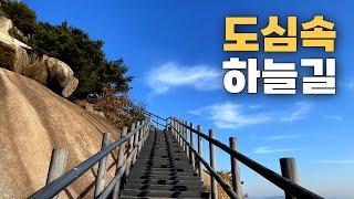 무료개방! 무려 200억을 들여 만든 도심 속 힐링 숲 | 숲 속 카페, 전망대 | 대중교통 당일치기 트레킹 여행