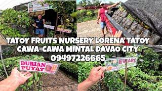 TATOY FRUITS NURSERY LORENA TATOY CAWA CAWA MINTAL DAVAO CITY.