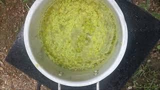 Avocado Oil for hair growth | Village special Homemade oil | miatorv