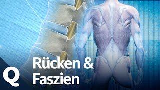 Faszien, Wirbel, Bandscheiben – Woher kommen die Schmerzen im Rücken? | Quarks