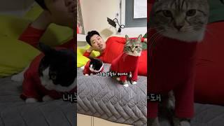 빨간 내복 입은 고양이
