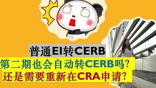 SERVICE CANADA申请普通EI自动转CERB，需要重新在CRA申请第二期CERB吗？|CERB需要填两周一次的报告吗（Bi-weekly report)?|申请第二期CERB你需要知道什么？