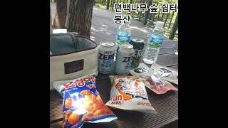 편백나무 #등산 #봉수대 #봉산 #편백나무 #트래킹