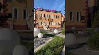Дар Земли! Сила Солнца! Янтарь️ единственное в России предприятие #shorts #янтарный #калининград
