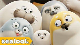 SEALOOK ⭐FULL EPISODES⭐ㅣSEALOOKㅣ90MIN Episodes Compilation