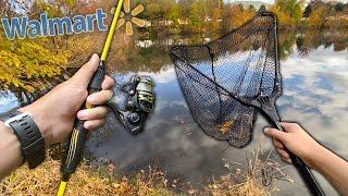 CHEAP AND EASY Carp Fishing! - How to Catch CARP