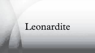 Leonardite