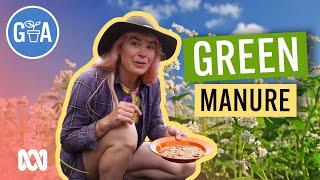 Homemade Green Manure For Summer | Discovery | Gardening Australia