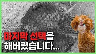 미안하다 어쩔 수 없다...