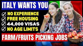 Come To Italy For Free In 2024: Farm Worker/Fruit Picking Jobs in Italy 2024: Italy Work Permit Free