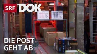 Im Verteilzentrum der Post – Paketboom dank Konsumlust |  Konsum & Kaufrausch | Reportage | SRF