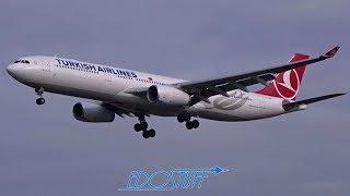 Turkish Airlines Airbus A330 25L Landing - Frankfurt am Main EDDF/FRA