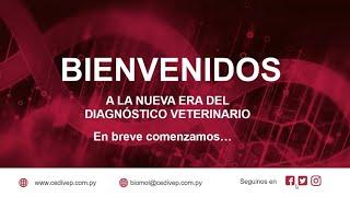 Lanzamiento del Laboratorio de Biología Molecular - CEDIVEP S R L