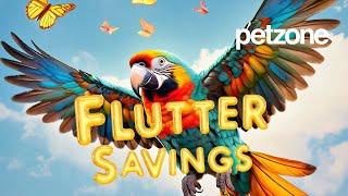  Feed Your Feathered Friends with Petzone! 