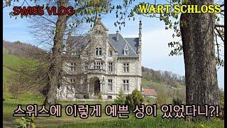 스위스 일상과 산책로 탐험/아름다운 성, Wart schloss,  Neftenbach, 산책하며 나물뜯기,  친구들과의 만남, 민들레가 덮힌 초원