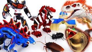 Go Go 3 Geo-Mecha RapTor Tyrannotooth Stegotank~! Battle With Hideous Monsters - ToyMart TV