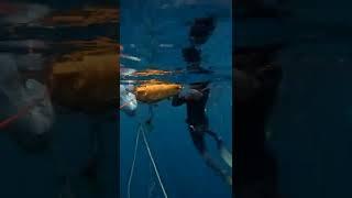Thankyou for Apnea Bali and the coach