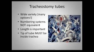 #e173 Preview: Trach & Vent Patients - What the SLP Needs to know about Communication & Swallowing