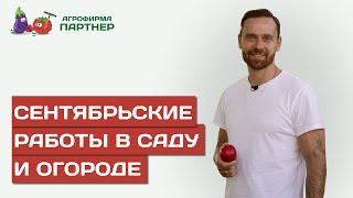 РАБОТЫ НА УЧАСТКЕ В СЕНТЯБРЕ: СБОР И ДОЗАРИВАНИЕ ОВОЩЕЙ, УХОД ЗА МНОГОЛЕТНИМИ РАСТЕНИЯМИ