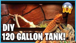 DIY REPTILE TERRARIUM! | 120 gallon Bearded Dragon Setup!