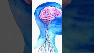 The Secret Second Brain in Your Body! #guthealth #gutbrainconnection #stomachproblem #naturecure