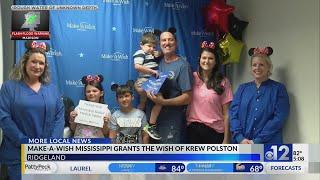 Make-A-Wish Mississippi grants Disney wish for three-year-old boy