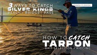 How to Catch Tarpon in Tampa Florida 3 Ways to Catch Tarpon Pass, Bridge and Beach