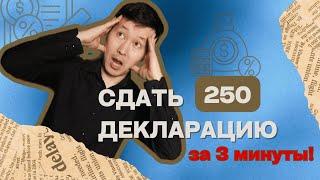 Легко сдаем Декларацию по форме 250: за 3-4 минуты!