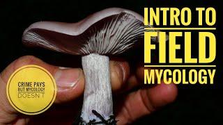 Intro to Field Mycology