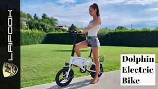 Laifook Dolphin Mini Electric Bike 250w - Recensione