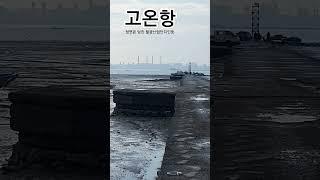 바다투망 point 화성 매향리 고온항 #투망 #바다투망 ~ 주말 미어터짐