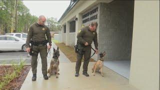 Chatham County K9 handlers heading to Super Bowl