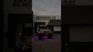 Bushdoof Chasing RGB Rock Lights