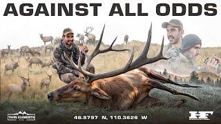 AGAINST ALL ODDS - Bowhunting Elk During The Rut, Montana - Official Film - Twin Elements