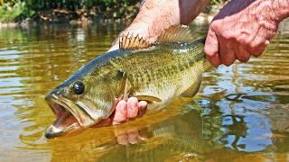 3 Hours of Epic Freshwater Fishing!