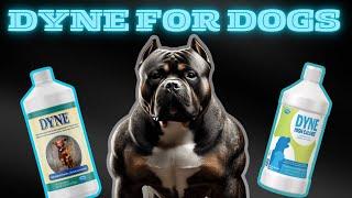 DYNE SUPPLEMENT REVIEW | WEIGHT GAINER | MUSCLE DOG #dogsupplement #musclebuilding #bigdog #dogs