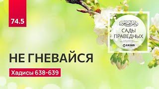 74.5 Сады праведных. Не гневайся. Хадисы 638-639. Ринат Абу Мухаммад