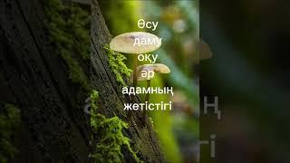 Оқып білім ал, дамы.#психология# #аудиокітап #мотивация