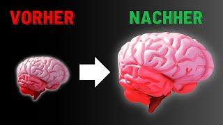 Demenz & Alzheimer verhindern - 3 TOP Nahrungsergänzungsmittel